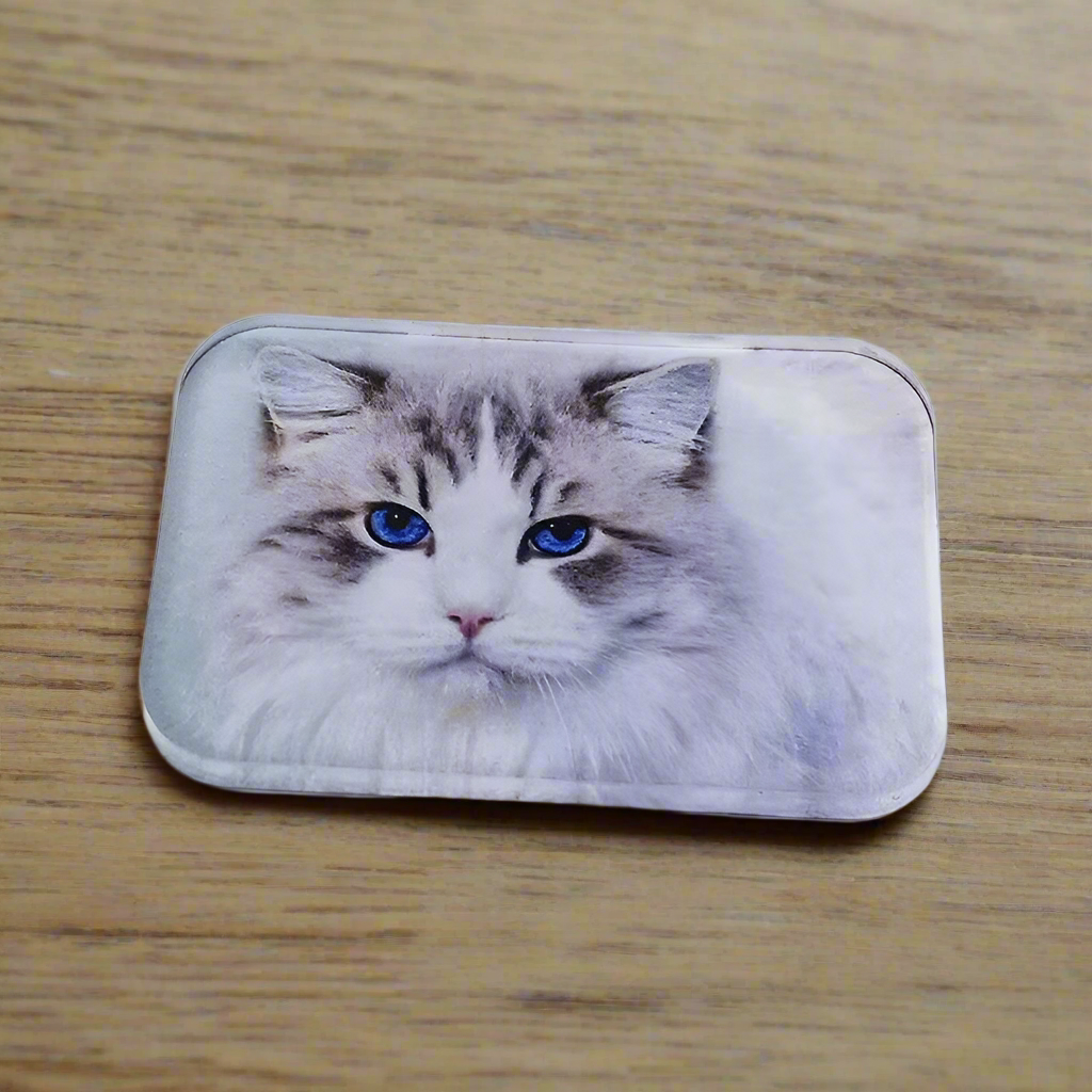 A5.Custom glass Photo Magnet Square (Set of 4)